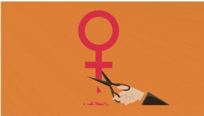 Cover Image for Female Genital Mutilation