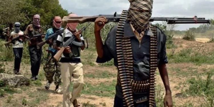 Cover Image for Benue State: Many Massacred as Armed Marauders Invade Camp