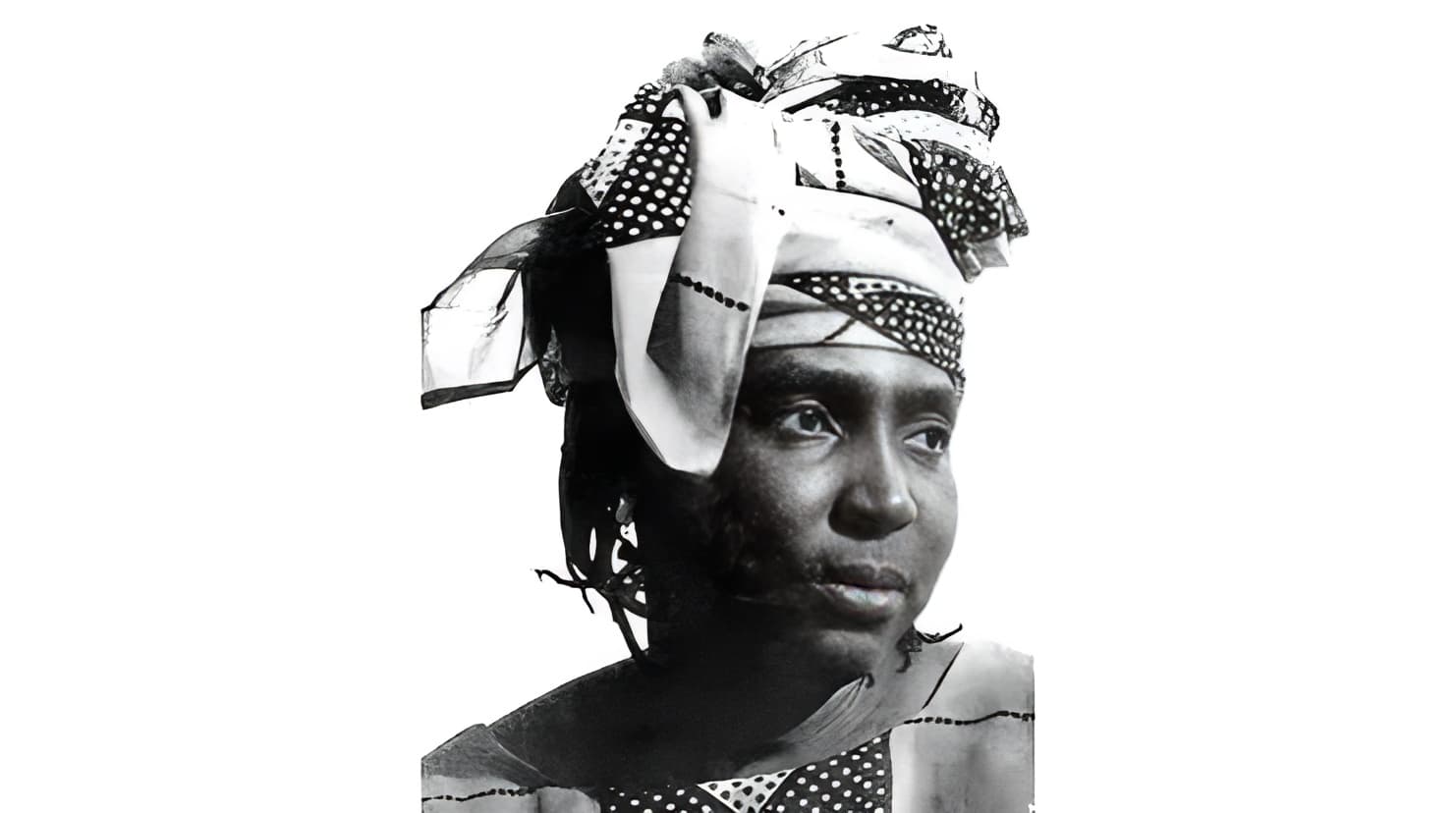 Cover Image for Senegalese Writer and political activist, Mariama Bâ